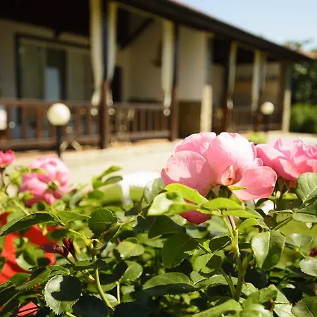 Yanevi Вилла Лозенец