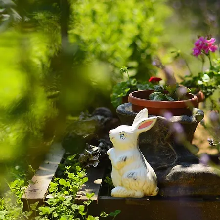 Вилла Yanevi Лозенец