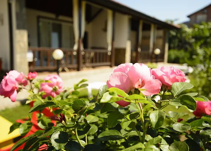 Yanevi Villa Lozenets